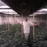 Cannabis Production - Indoor Garden