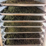 Marijuana Processing - Cannabis Flower Drying Rack